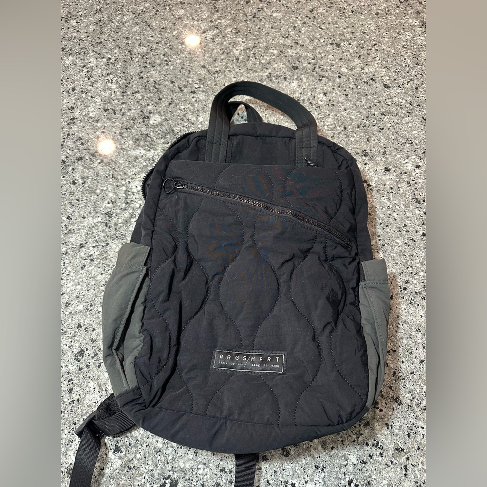 Bagsmart backpack